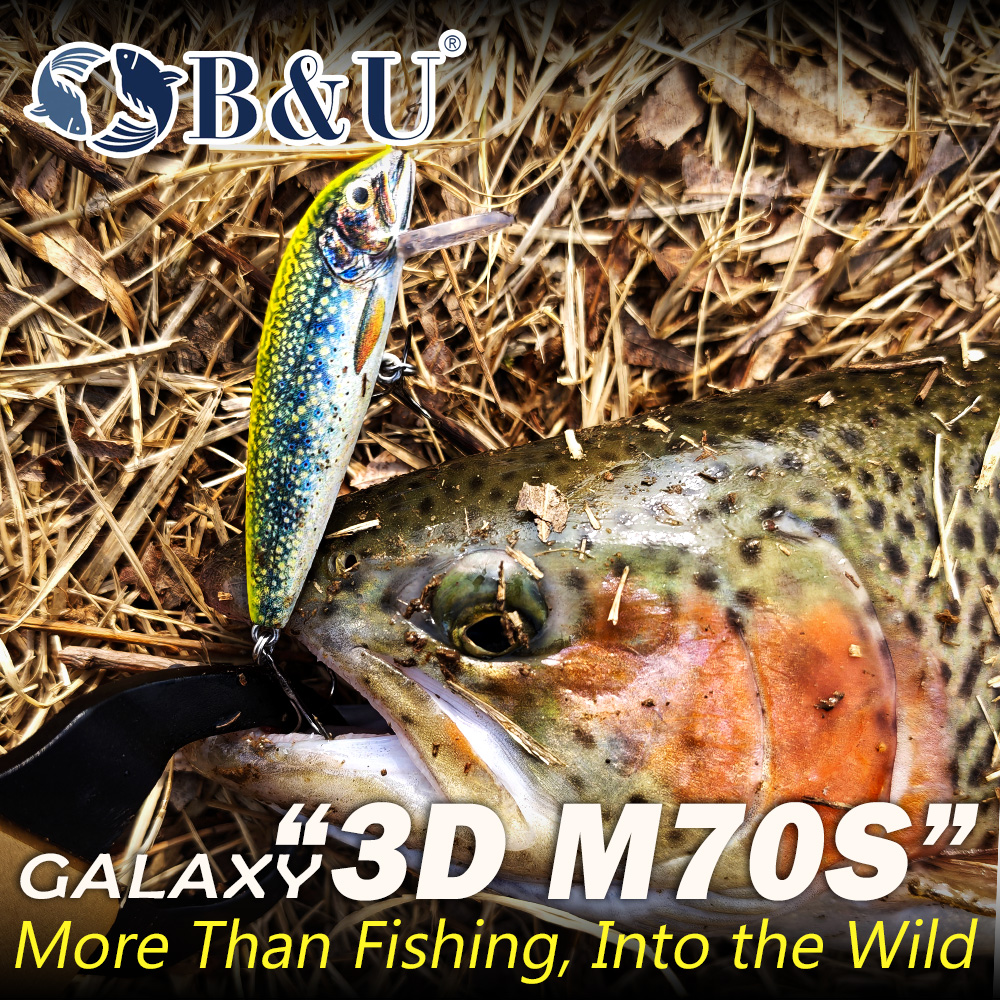 Esche da Pesca B&U Sinking Min - Fishing Lure Swimbait recensione e prezzo