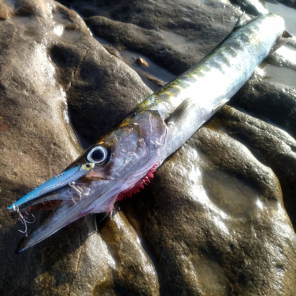 GOBAIT VIB Richiamo di Pesca 2 - Fishing Lure Blade Bait recensione e prezzo
