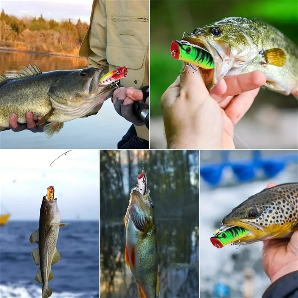 5 pezzi esche da pesca popper  - Fishing Lure Popper recensione e prezzo